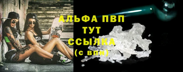 a pvp Белокуриха