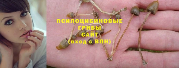 a pvp Белокуриха