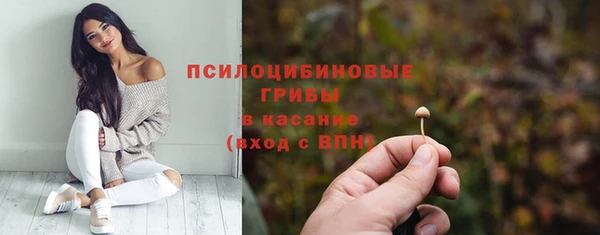 прущие крисы Балахна